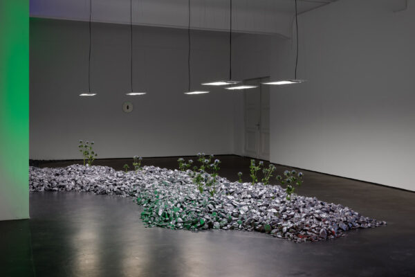 ‘Anima Atman’, max goelitz, 2024 | Troika (Conny Freyer, Eva Rucki, Sebastien Noel)