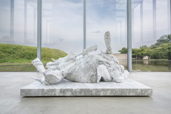 ’Buttercup (Canticle of the Creatures)’, 2024, Langen Foundation, 2024 | Troika (Conny Freyer, Eva Rucki, Sebastien Noel)