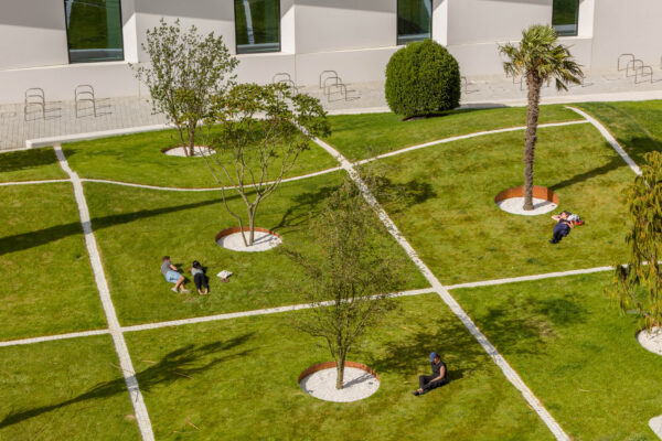 ‘Third Nature’ 2024 | Troika (Conny Freyer, Eva Rucki, Sebastien Noel)