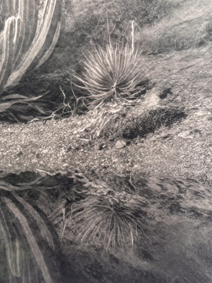 ‘⁠Out of Place, Out of Time’ 2025 | Troika (Conny Freyer, Eva Rucki, Sebastien Noel)