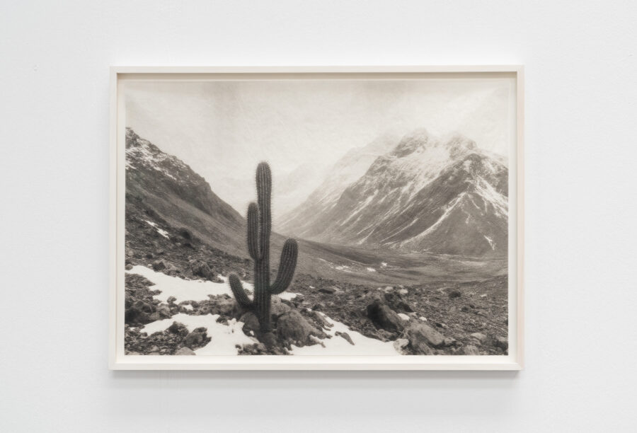 ‘⁠Out of Place, Out of Time (Lost Valley)’, 2026 | Troika (Conny Freyer, Eva Rucki, Sebastien Noel)