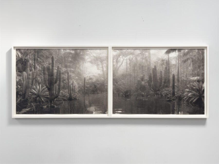 ‘⁠Out of Place, Out of Time’ 2025 | Troika (Conny Freyer, Eva Rucki, Sebastien Noel)