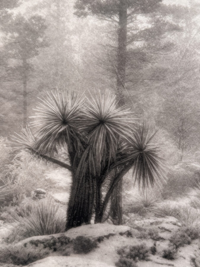 ‘⁠Out of Place, Out of Time’ 2025 | Troika (Conny Freyer, Eva Rucki, Sebastien Noel)