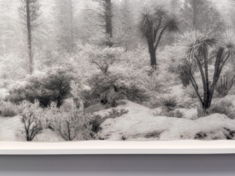 ‘⁠Out of Place, Out of Time’ 2025 | Troika (Conny Freyer, Eva Rucki, Sebastien Noel)