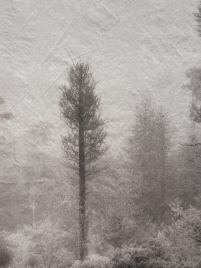 ‘⁠Out of Place, Out of Time’ 2025 | Troika (Conny Freyer, Eva Rucki, Sebastien Noel)