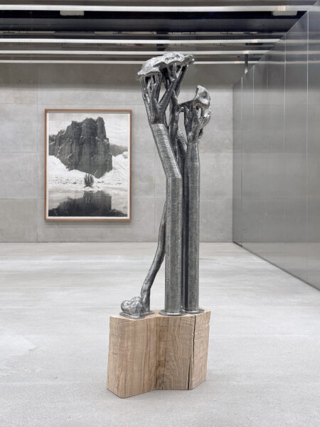 ’Deception Island’, 2025 | Troika (Conny Freyer, Eva Rucki, Sebastien Noel)