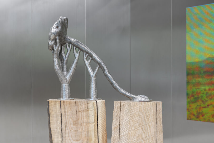 ’Deception Island’, 2025 | Troika (Conny Freyer, Eva Rucki, Sebastien Noel)