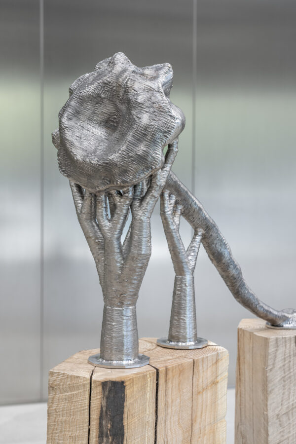 ’Deception Island’, 2025 | Troika (Conny Freyer, Eva Rucki, Sebastien Noel)