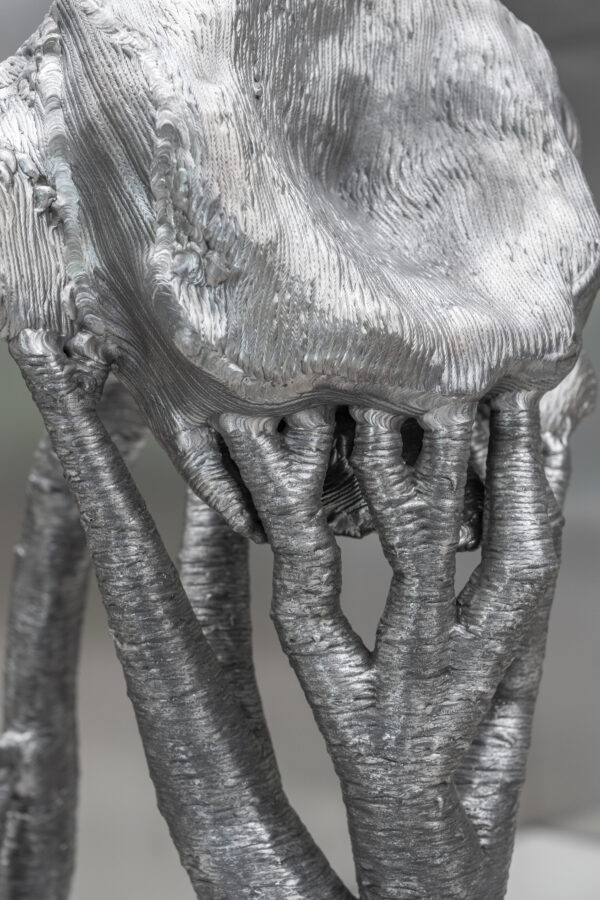 ’Deception Island’, 2025 | Troika (Conny Freyer, Eva Rucki, Sebastien Noel)