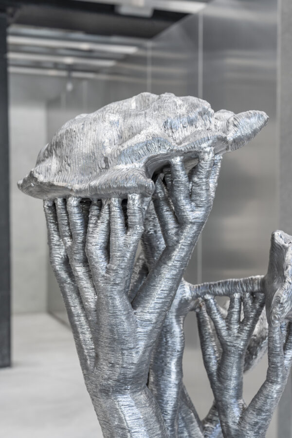 ’Deception Island’, 2025 | Troika (Conny Freyer, Eva Rucki, Sebastien Noel)