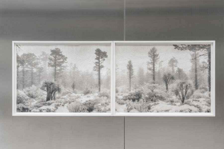 ’Deception Island’, 2025 | Troika (Conny Freyer, Eva Rucki, Sebastien Noel)