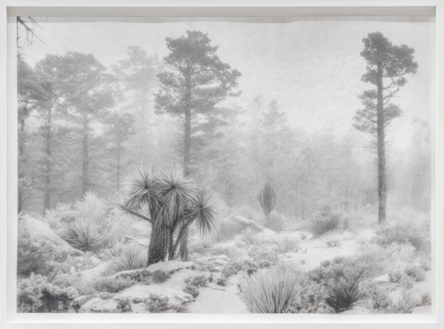 ’Deception Island’, 2025 | Troika (Conny Freyer, Eva Rucki, Sebastien Noel)