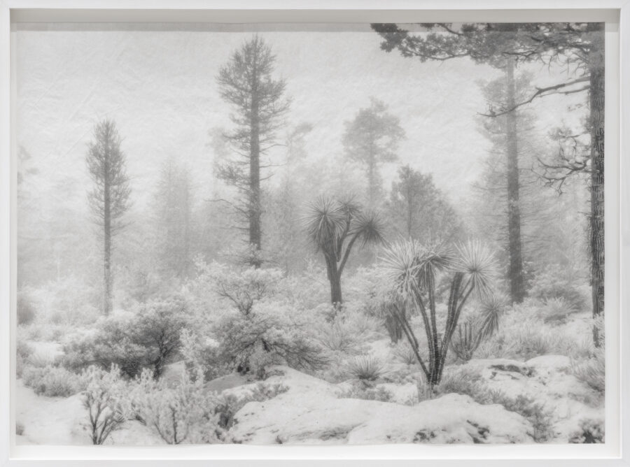 ’Deception Island’, 2025 | Troika (Conny Freyer, Eva Rucki, Sebastien Noel)