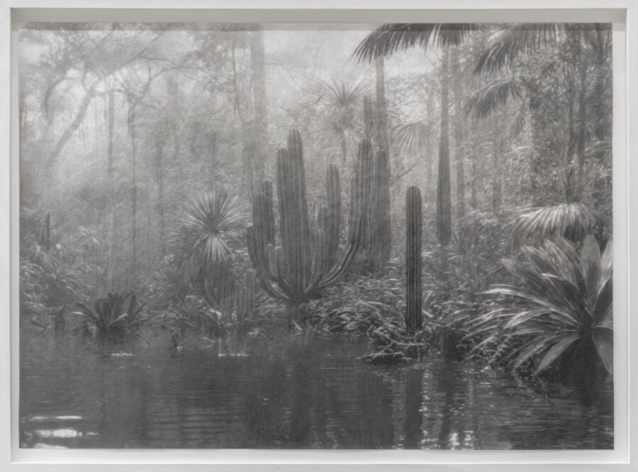 ’Deception Island’, 2025 | Troika (Conny Freyer, Eva Rucki, Sebastien Noel)