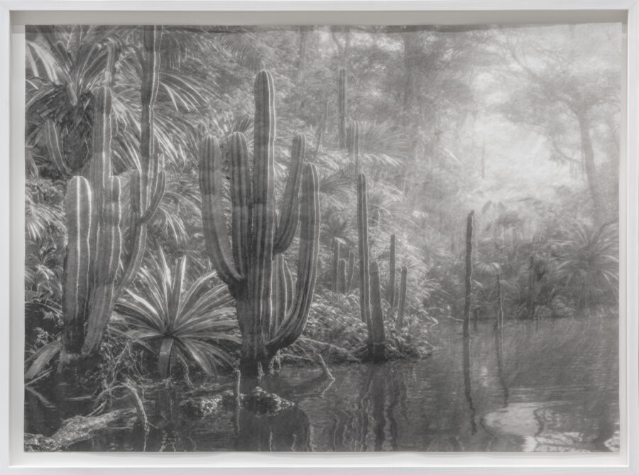 ’Deception Island’, 2025 | Troika (Conny Freyer, Eva Rucki, Sebastien Noel)