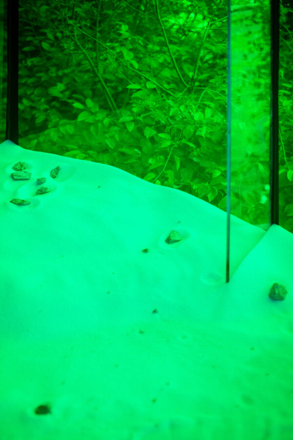 ’Chapter VIII: Hallucinations’, 2026 | Troika (Conny Freyer, Eva Rucki, Sebastien Noel)