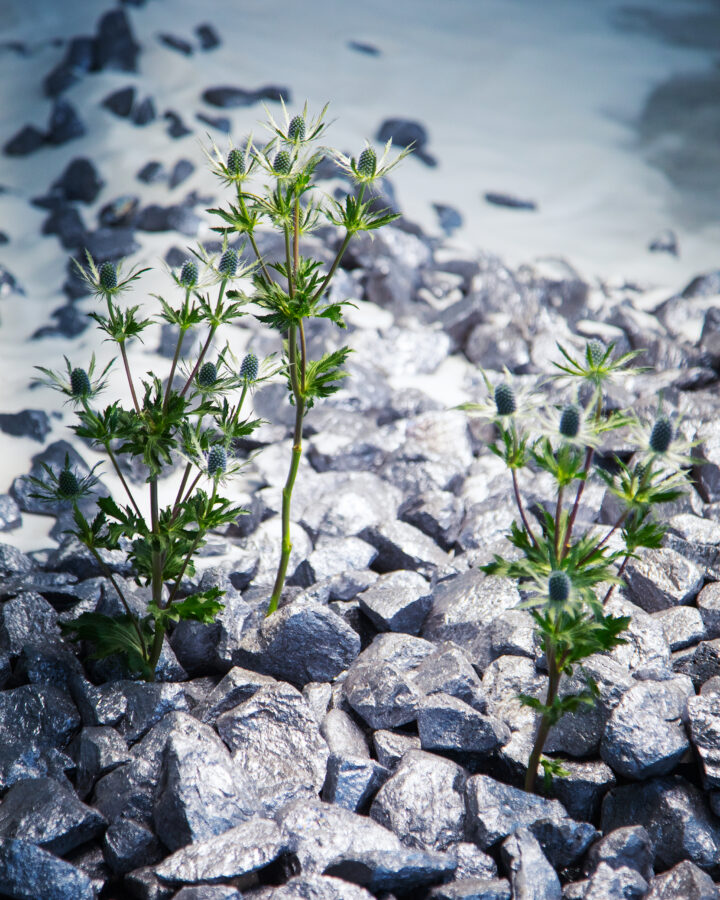 ’Chapter VIII: Hallucinations’, 2026 | Troika (Conny Freyer, Eva Rucki, Sebastien Noel)