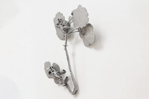 ‘Ghost Specimen (Hibiscadelphus wilderianus)’, 2026 | Troika (Conny Freyer, Eva Rucki, Sebastien Noel)